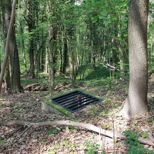 Groeve op de Trichterberg I