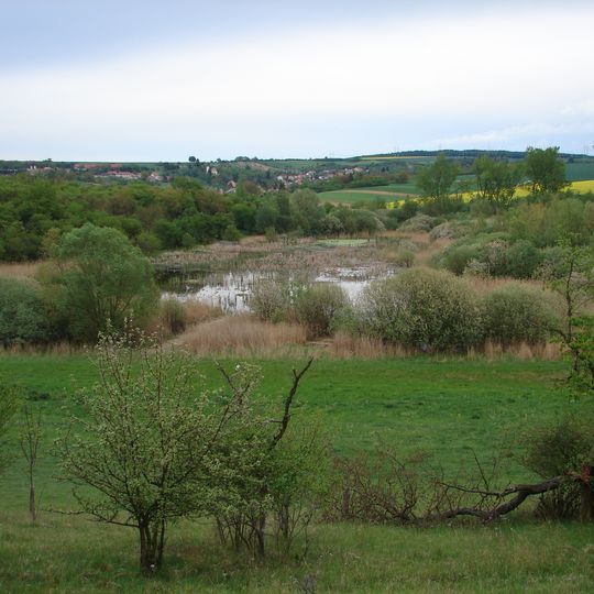 Rašovický zlom – Chobot