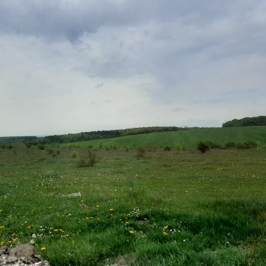 Золотопотіцька дубина