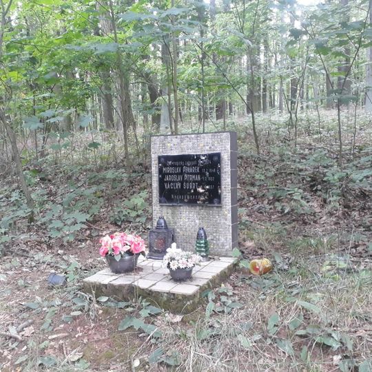 Památník obětí nehody severně od Lhotky