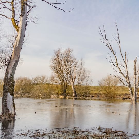 Seen- und Bruchlandschaft südlich Alt Gaarz