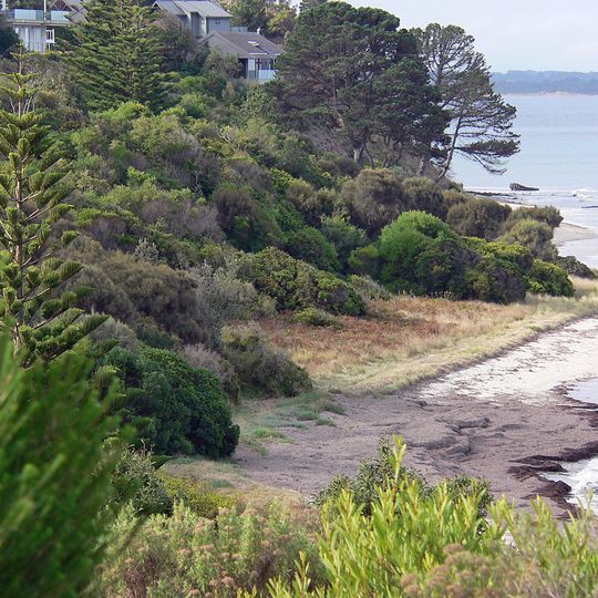 Flinders Beach