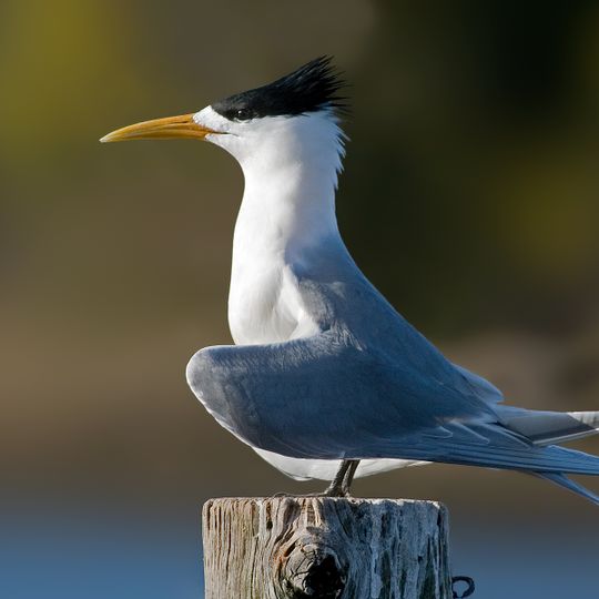 Parque nacional Grupo Sir Charles Hardy