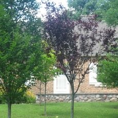 Mishawaka Reservoir Caretaker's Residence