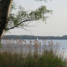 Schwielochsee