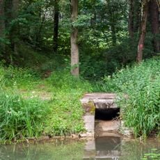 Kanaleinleitung im Bruderholz
