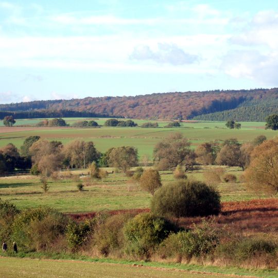 Leistwiesen bei Rommershausen