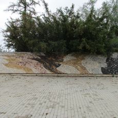 Birds by Martin Sladký