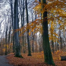 Independence Park in Tarnów