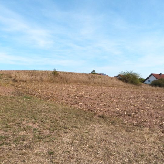 Feldrain westlich Randenweiler