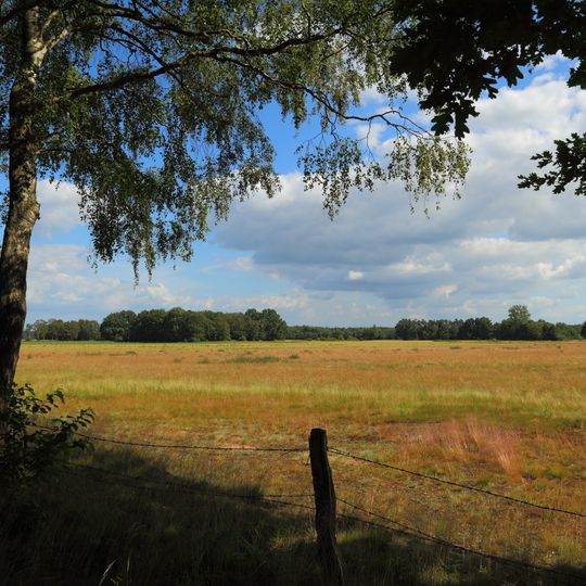 NSG Duesterdieker Niederung