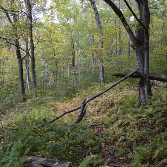 Blackrock Springs Site