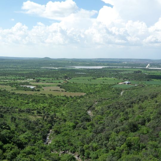 Los Altos