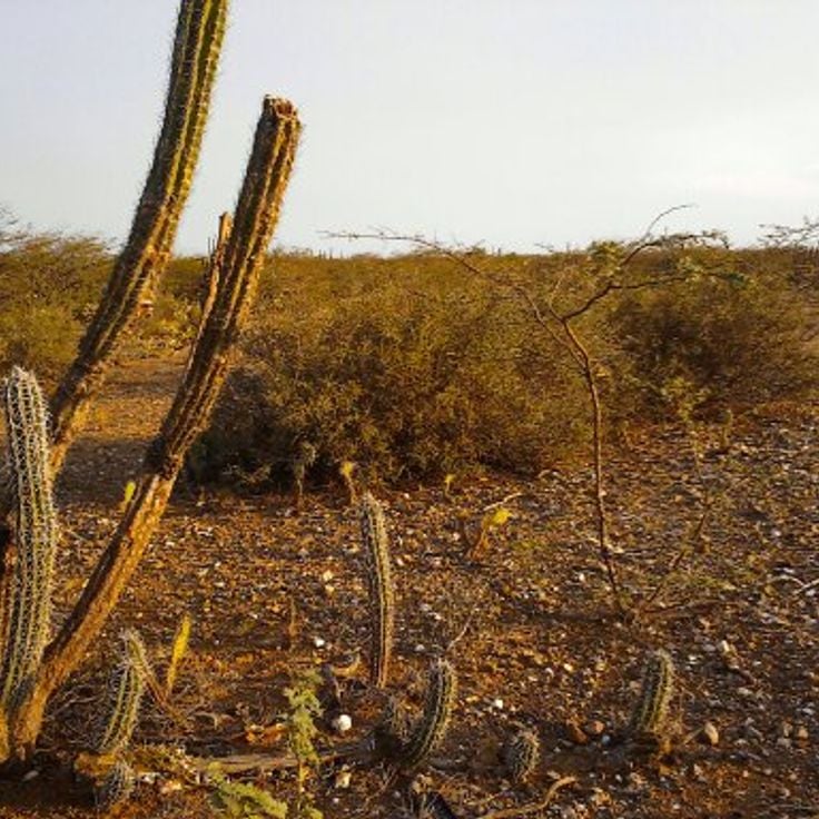 Wüste La Guajira