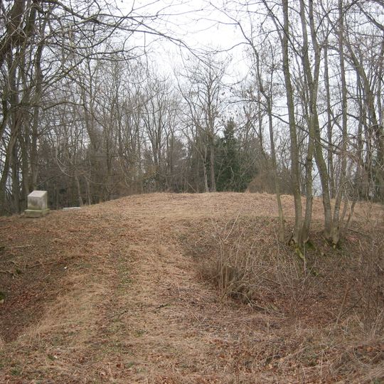 Burgstall Wolfertschwenden