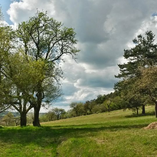 Hänge an Spitzlberg und Kunkelsbühl