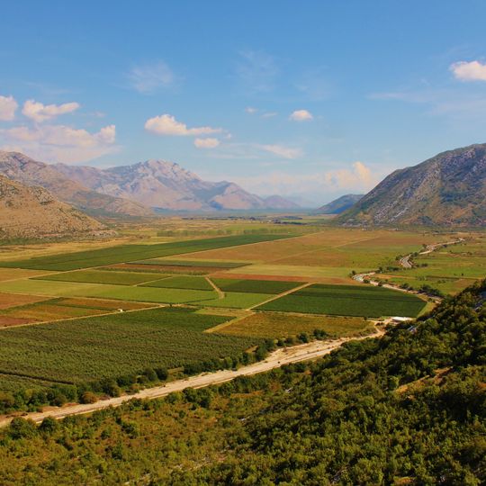 Popovo field