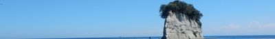 Panoramic View 0