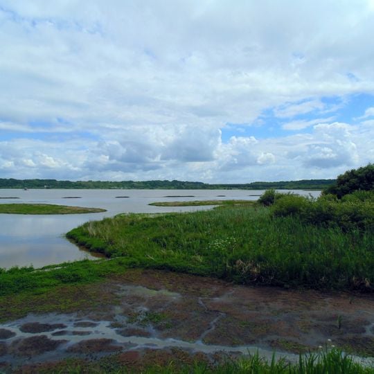 Réserve naturelle nationale du marais d'Orx