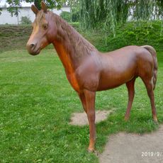 Koń