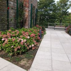 Jardin J. Bucciali