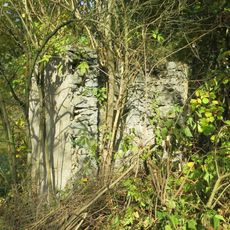 Ruina kaple v Haslicích