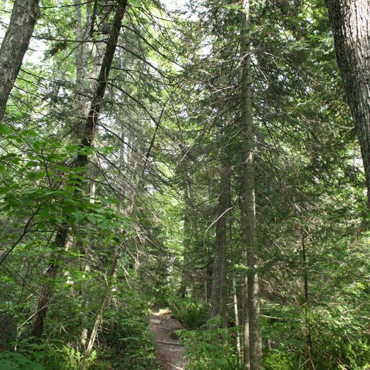 Gaylord Nelson Wilderness