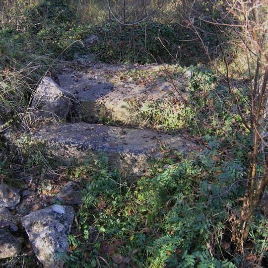 Dolmen im Bois de la Grosse Pierre