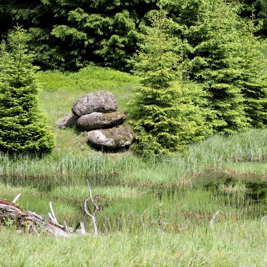Vogelschutzgebiet Hochharz