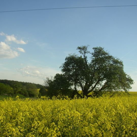 Muk „Na kocourku“