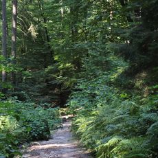 Rosengarten - Kiekeberg - Stuvenwald