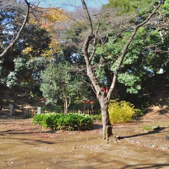 Shiba Maruyama Kofun