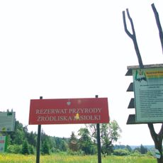 Rezerwat przyrody Źródliska Jasiołki