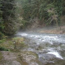 Drift Creek Wilderness