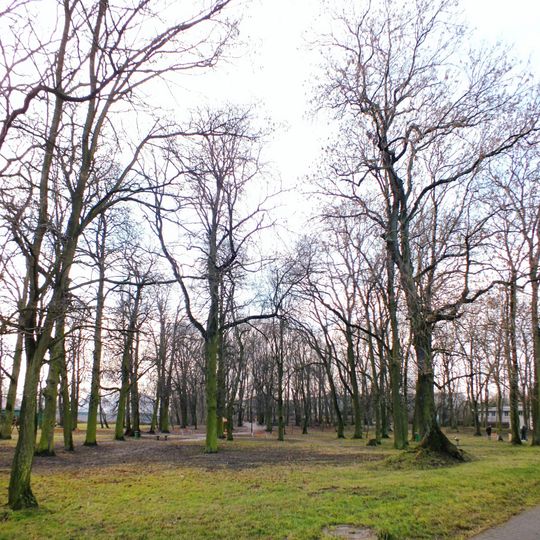 Park podworski w Skórzewie