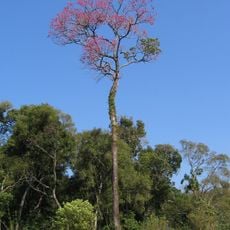 San Rafael National Park