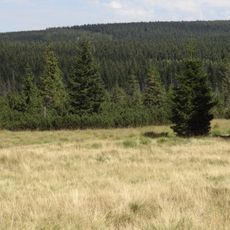 Torfowiska Doliny Izery