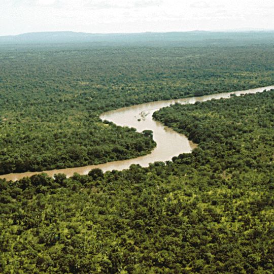 Parc national du Niokolo-Koba