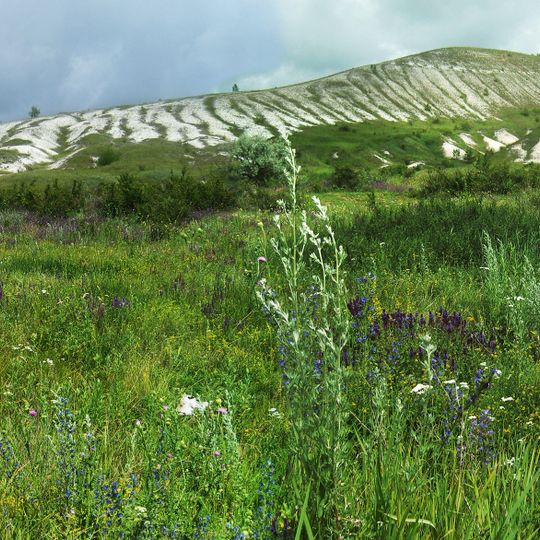 Novooskol'skij rajon