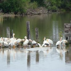 Hecla-Grindstone Provincial Park