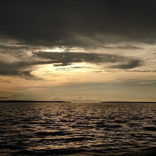 Área de Proteção Ambiental Margem Esquerda do Rio Negro-Setor Aturiá-Apuauzinho