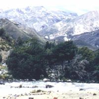 provincia di Curicó