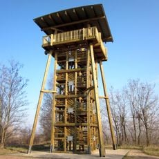 Pauline Observation Tower