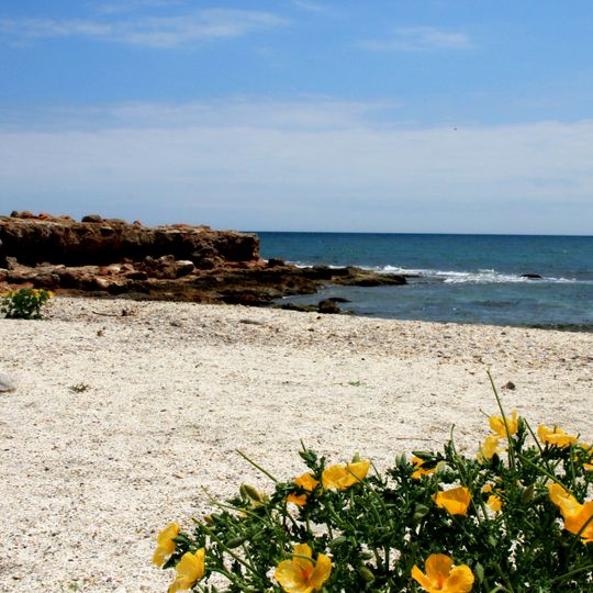 Cala de las Petxinas