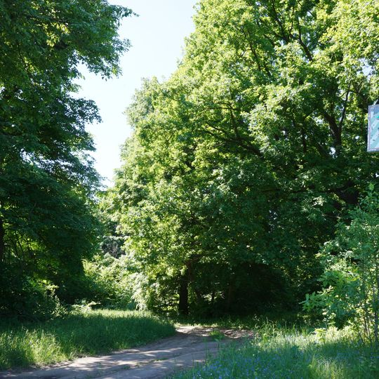 Dubovyi Hai, Lokhvytsia