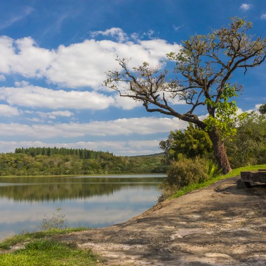 Forêt nationale d'Ipanema