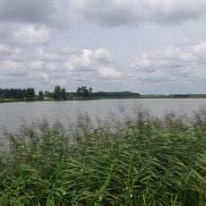 Vogelfreistätte Kauerlacher Weiher