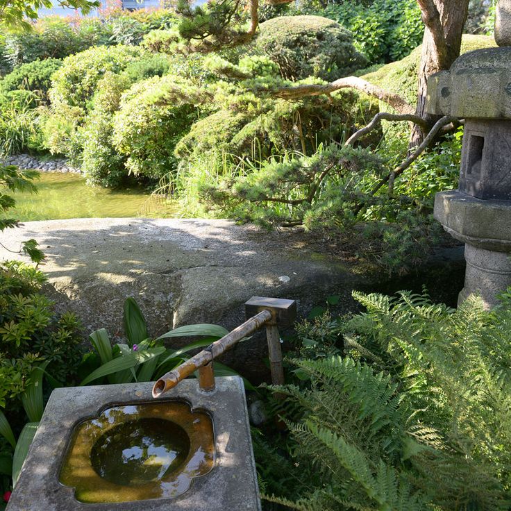 Jardin Japonais