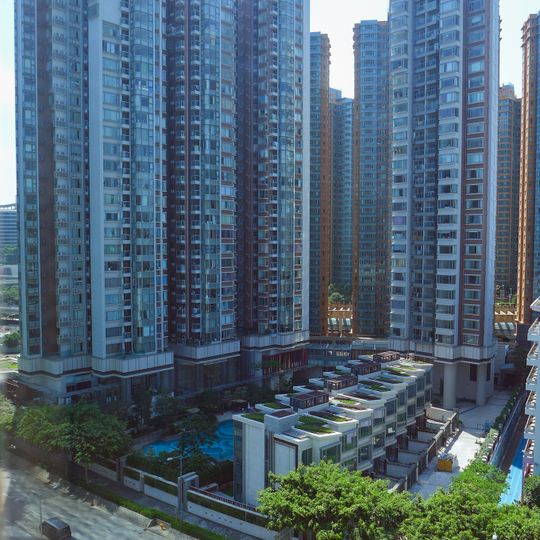 Stars by the Harbour