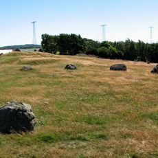 Broåsen, Götriks ring